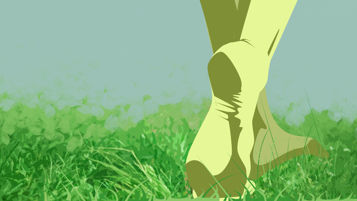 Feet Walking On Grass