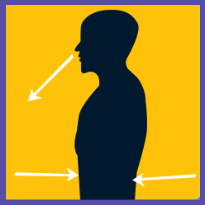 Animation of a person breathing in and out through nose while using diaphragm to control the breathing.